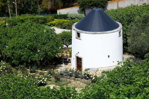 Bed & Breakfast Ol� Bel�m! Cozy Windmill, Stunning Views To Lisboa