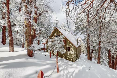 Treetop Retreat
