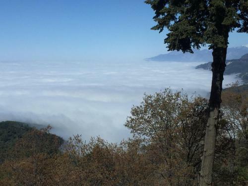 100 Mile View