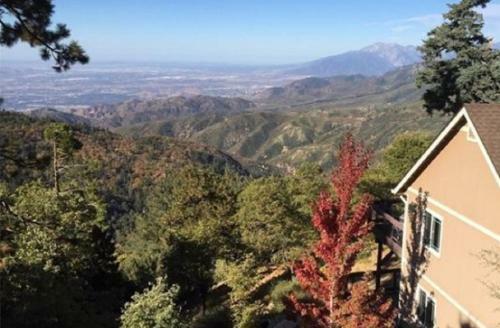 100 Mile View