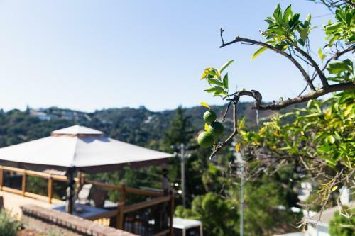 Apartamento E&book