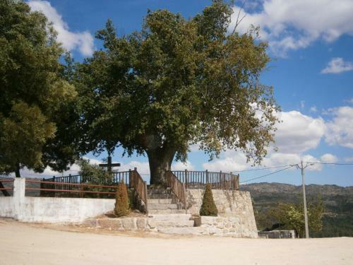 Agroturismo Pinheirinhos - Quinta de S�o Caetano