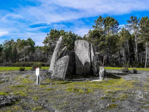 Agroturismo Pinheirinhos - Quinta de S�o Caetano