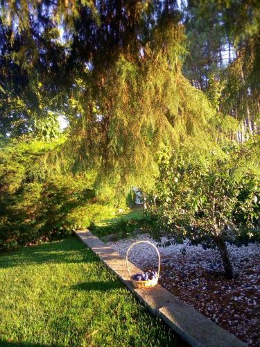 Agroturismo Pinheirinhos - Quinta de S�o Caetano