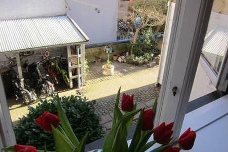 Outhentic Apartment