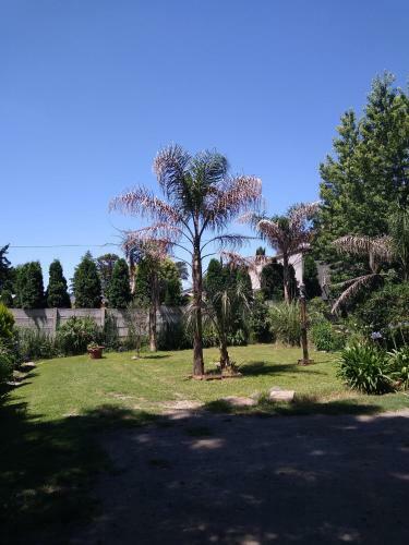 Quinta Del Noni