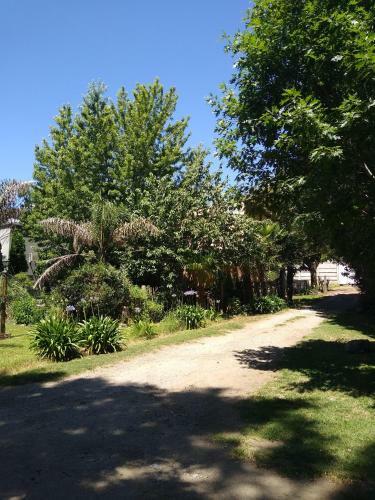 Quinta Del Noni
