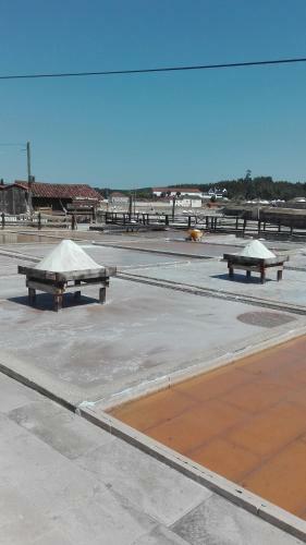 Casa Da Palmeira