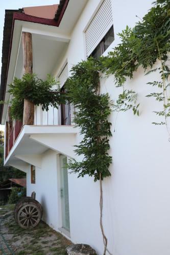 Quintinha Da Am�lia