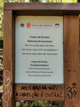 Quintinha Da Am�lia