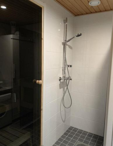 Apartamento Ski Studio Levi