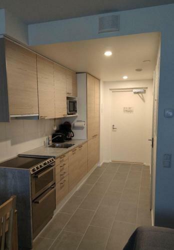 Apartamento Ski Studio Levi