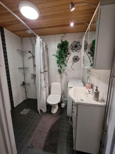 Apartamento Levi Etel�rinne Huoneisto