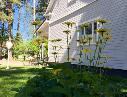 Hostal Villa Romantica Majoitus Kokkola