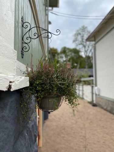 Eleonora Bed & Breakfast