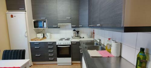 Lake Cottage J�nisvaara