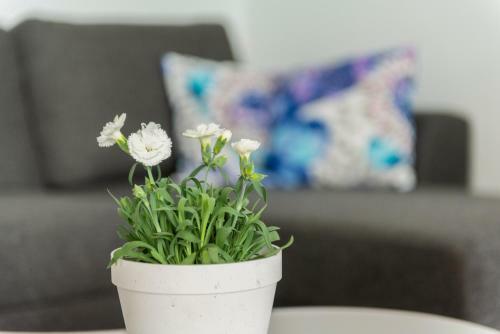 Mikkeli Citycenter Apartment With Sauna