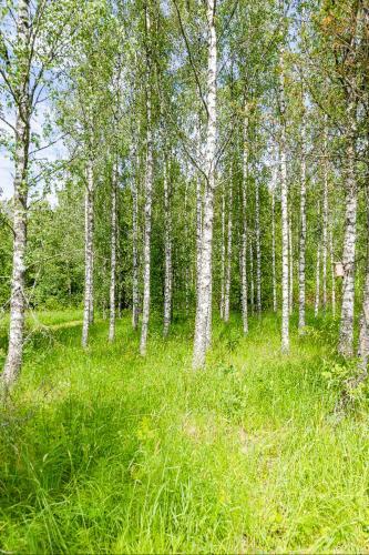 Poppelstrand Nuuksio, Pet Friendly Guest Apartment