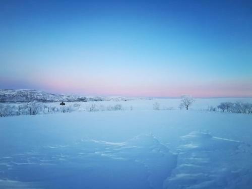 Aurora Hut - Luksusmajoitus Iglu Tunturissa Pohjois-lapissa Nuorgamissa