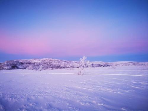 Aurora Hut - Luksusmajoitus Iglu Tunturissa Pohjois-lapissa Nuorgamissa
