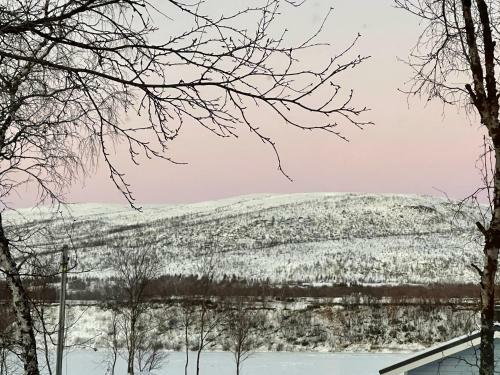 Villa Arktika Porealtaallinen M�kki Nuorgamissa Tenojoen Ja Tunturien Vieress�