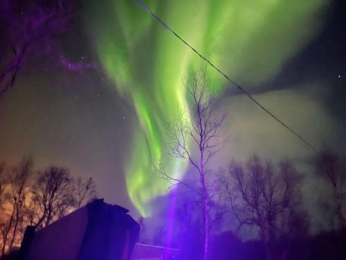 Villa Arktika Porealtaallinen M�kki Nuorgamissa Tenojoen Ja Tunturien Vieress�