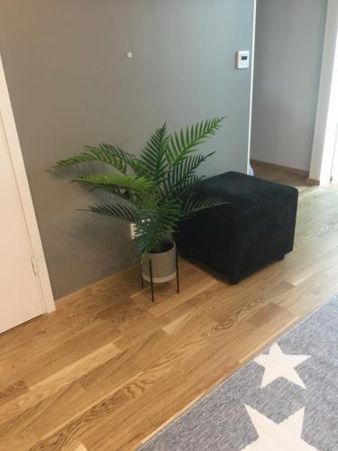 Apartamento Starhomes Double Lux 7