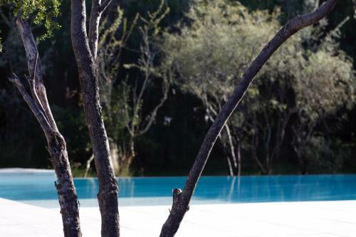 Bed & Breakfast Posada Reba�os