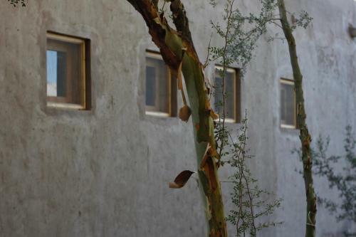 Bed & Breakfast Posada Reba�os