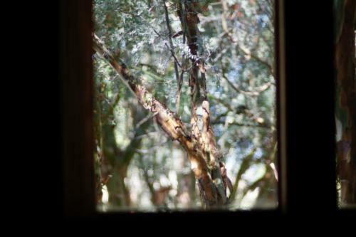 Bed & Breakfast Posada Reba�os