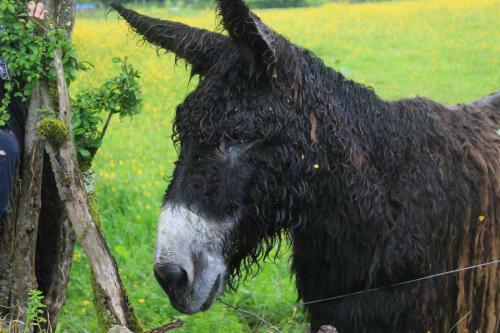Bed & Breakfast Le D�tour