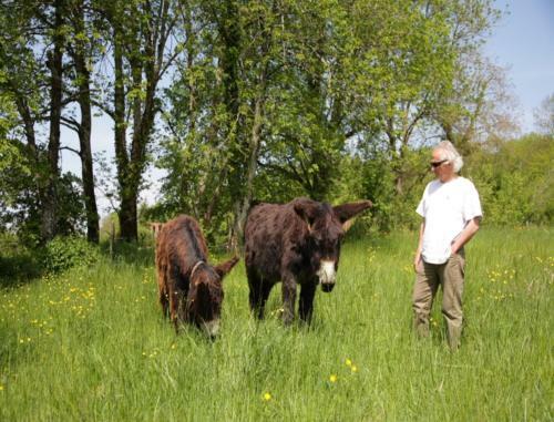 Bed & Breakfast Le D�tour