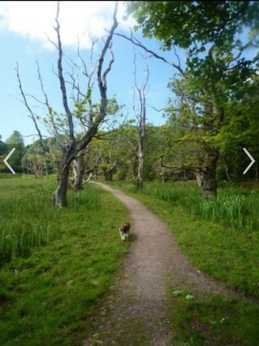 Happydays Caravan Hire ,whithorn ,nr Newton Stewart ,