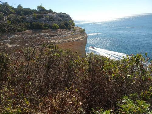 Apartamento T2 Praia De Centeanes