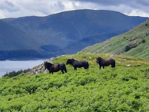 Haweswater Cottage