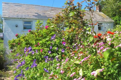 Rose Cottage