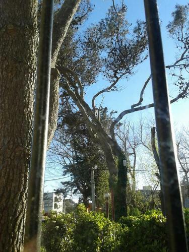 Apartamento Pucar�