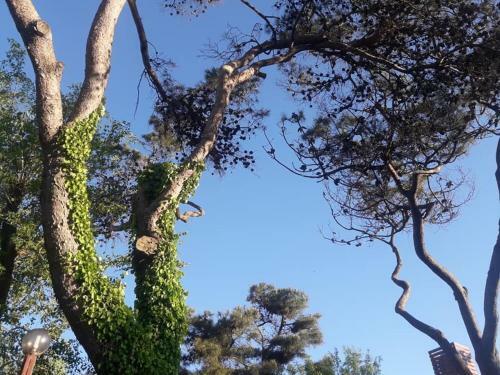 Apartamento Pucar�