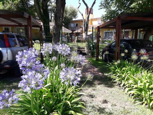 Apartamento Pucar�