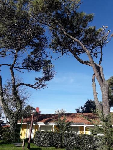 Apartamento Pucar�