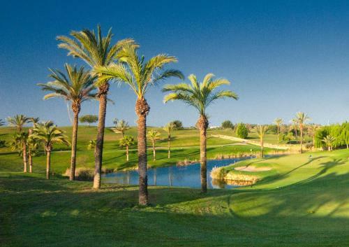 Apartamento Pestana Golf Resort - T1 150e