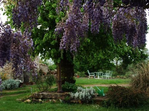 Bed & Breakfast Le Mouillage Vert