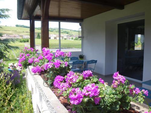 Bed & Breakfast La Maison Des Prouges