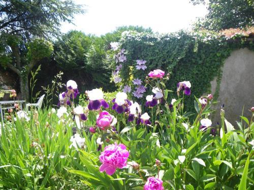 Bed & Breakfast La Maison Des Prouges