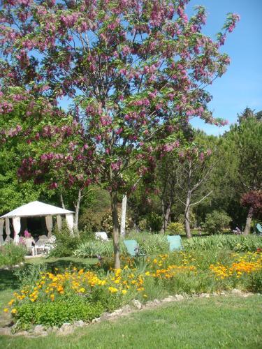 Bed & Breakfast Le Mas D'herm�s
