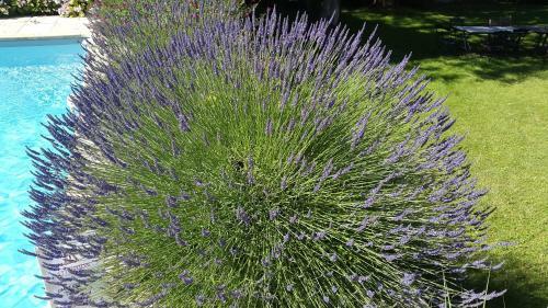 Bed & Breakfast Ch�teau Richelieu