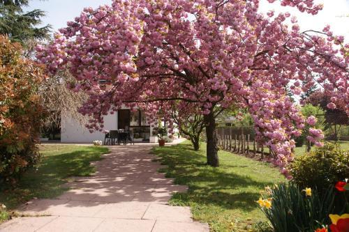 Bed & Breakfast Les Chambres De La Maxe