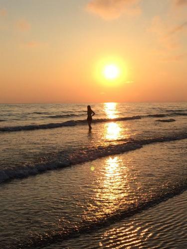 Swyn Y Mor Beach Close Pet Friendly Hot Tub