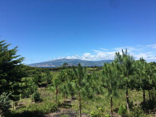 Home Pico - Casa Dos Cedros (Alojamento Local)