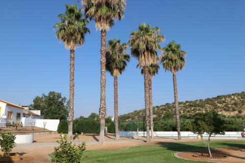 Bed & Breakfast Monte Da Gra�a